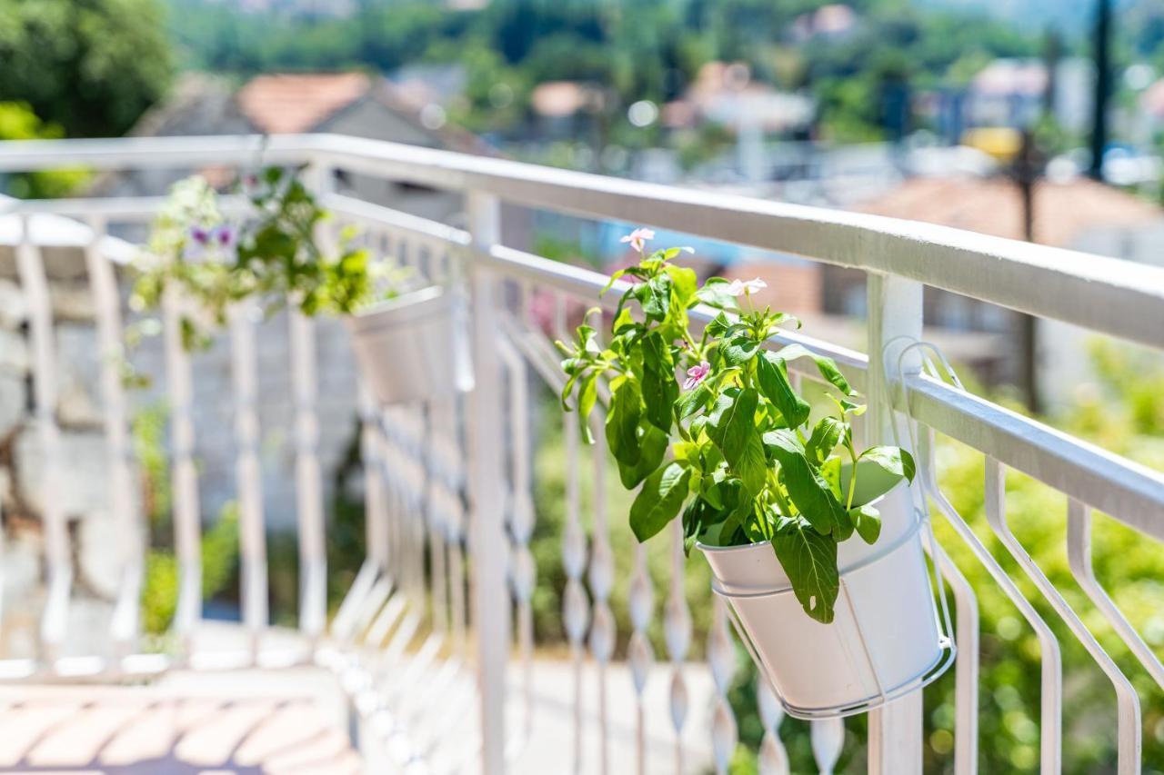 Apartment House Of Artichoke With Amazing Sea View, Dubrovnik Mokošica Extérieur photo