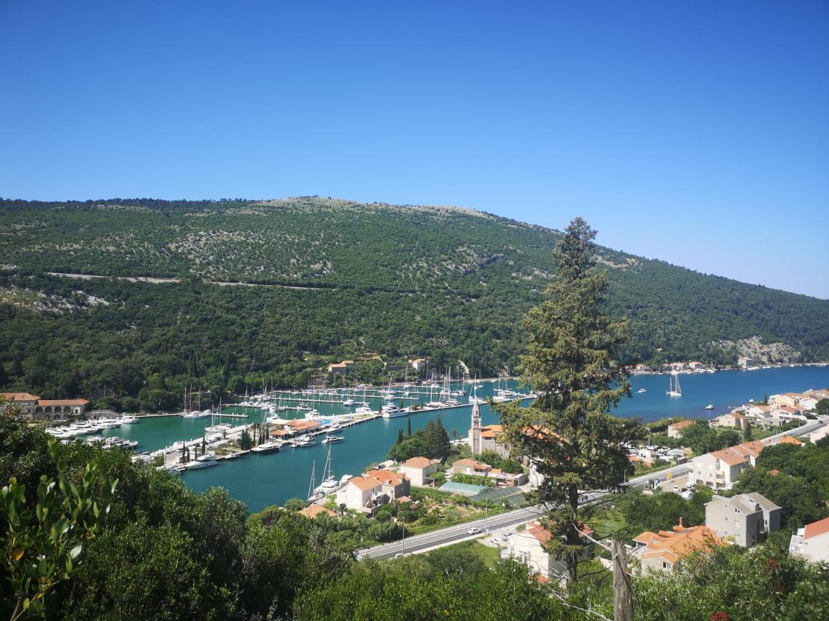 Apartment House Of Artichoke With Amazing Sea View, Dubrovnik Mokošica Extérieur photo